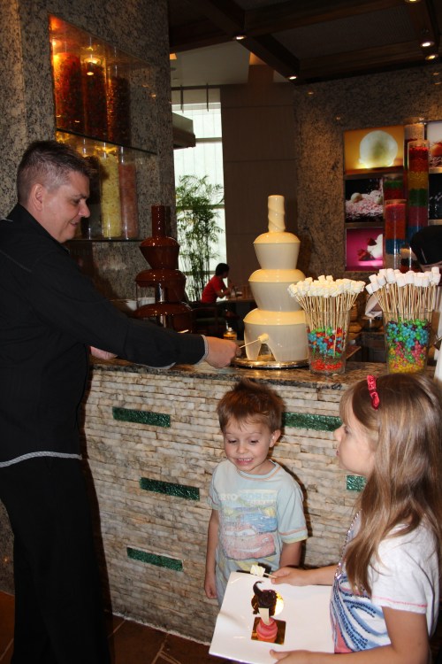Chocolate Fountain - milk and white, with marshmallows and fruit to dip with. Chocolate Fountain - milk and white, with marshmallows and fruit to dip with.