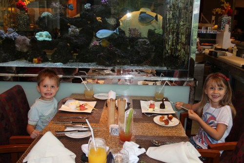 Fab table by the Fish Tank! Fab table by the Fish Tank!