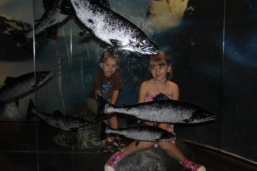 Hiding behind the fishes