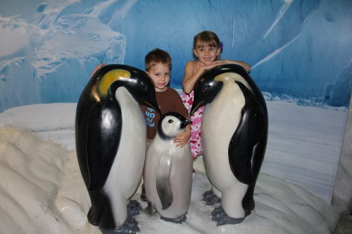 Hugging the Penguins