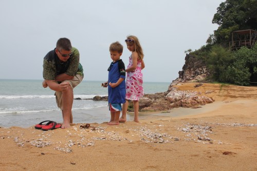 Kids collecting shells with Daddy