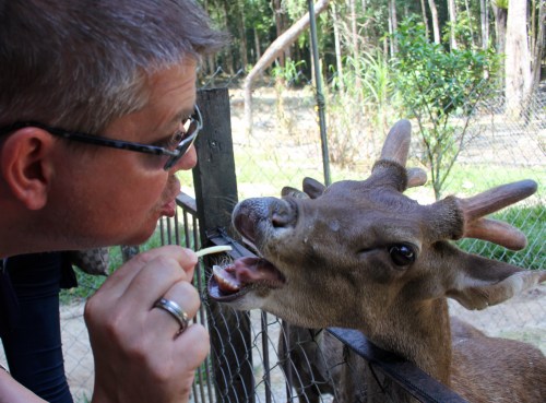 This deer wanted to kiss Owen, in exchange for food!
