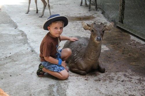 Oliver had a special way with the animals and were happy to settle by him