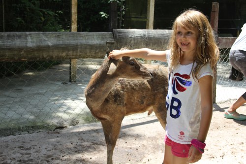 But she loved stroking the deer......