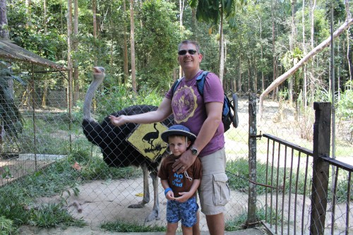 Oliver did not want to get his hand pecked either!!