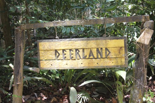 First stop on our "Safari" was at Deerland