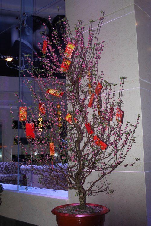 A New Year money tree.  You see these all over China, Hong Kong and Vietnam at the Lunar New Year time.  I am sure that most of Asia  that celebrates this new year does the same thing.