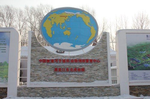 Tiger Breeding Organization