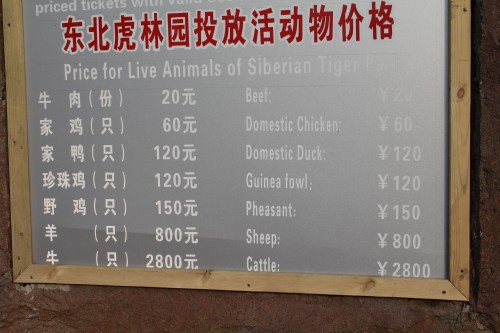 Tiger Menu