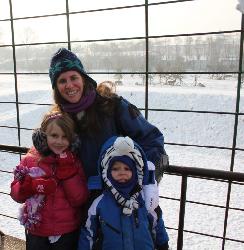 At the tiger feeding area - there must have been between 30-40 here.