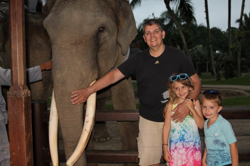 This elephant was our favourite.