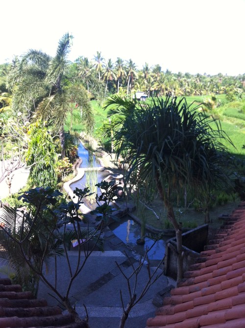 Looking down from the upper level of the restaurant to a pool.