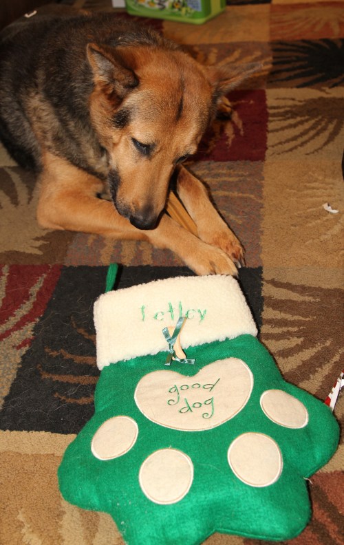 I know I can get my head in there - I can smell goodies!