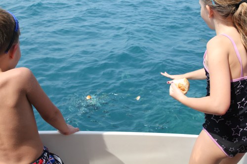 Isabelle and Oliver feeding the fish!