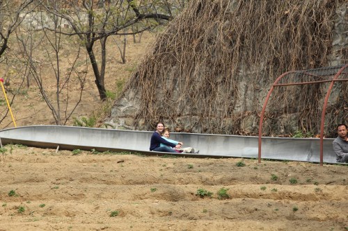 Harley and Isabelle riding down.