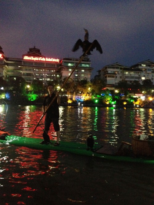 A cormorant about to dive down for a fish.